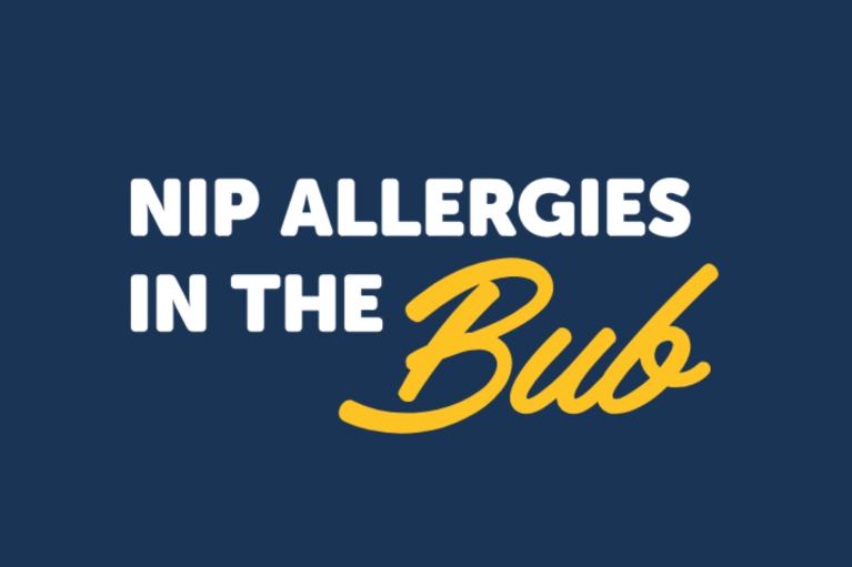 Nip Allergies in the Bub logo