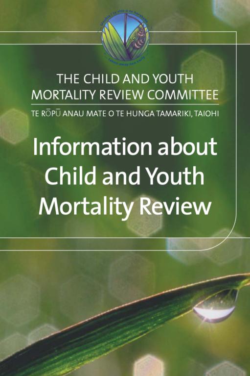 Cover of the brochure titled information about child and youth mortality review