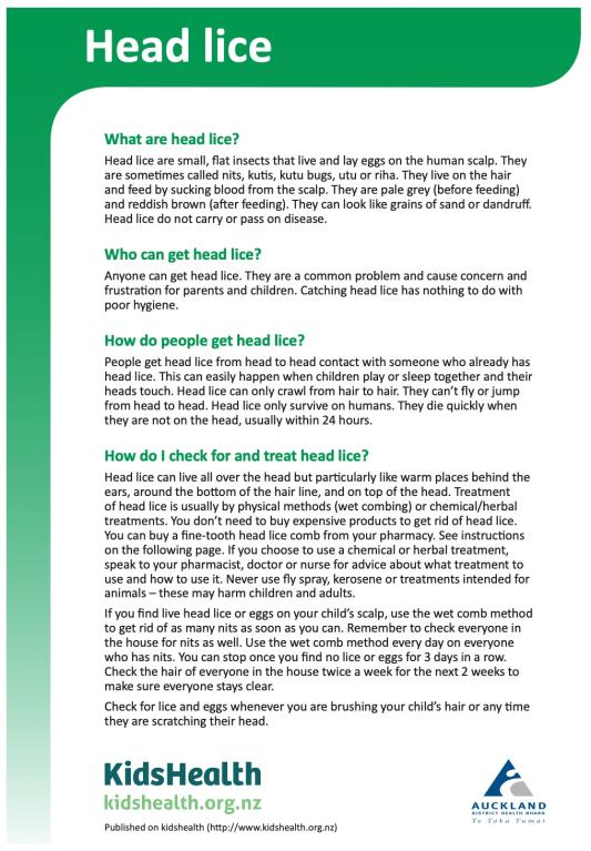 Head lice factsheet cover