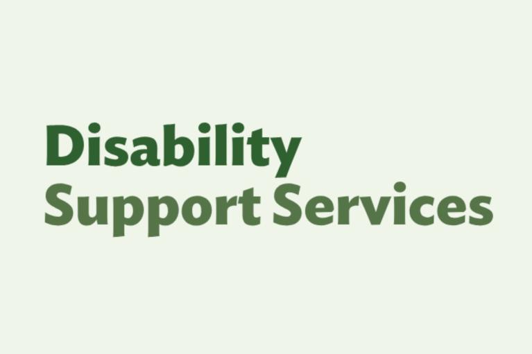 Disability Support Services logo