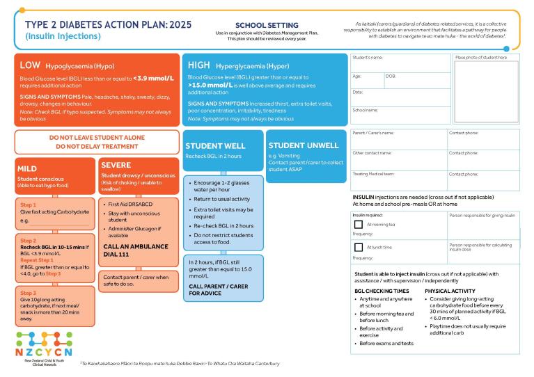 Cover of type 2 diabetes action plan (insulin injections) 2025