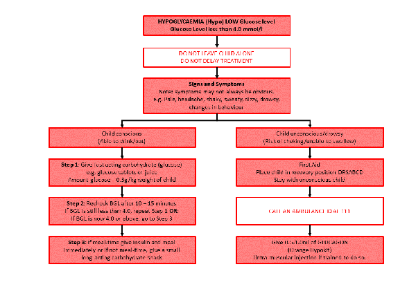 Hypoglycaemia flow chart 