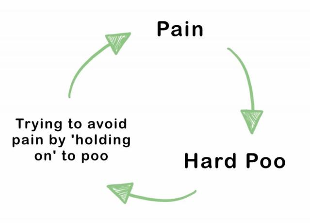 Graphic showing the cycle of constipation