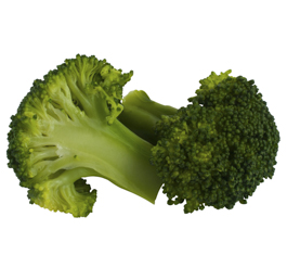 Cooked soft broccoli