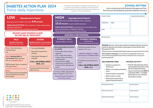 Image of diabetes action plan for primary and secondary schools - for tamariki and rangatahi who have twice daily injections