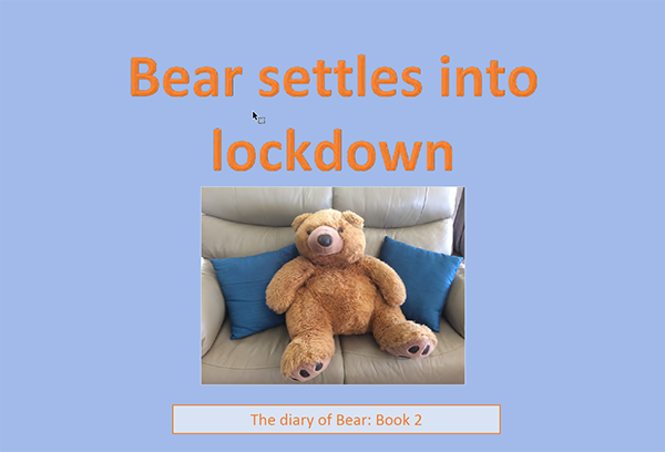 Cover of 'Bear settles into lockdown' book