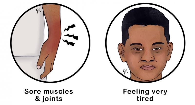 Illustration showing some of the symptoms of dengue fever in children