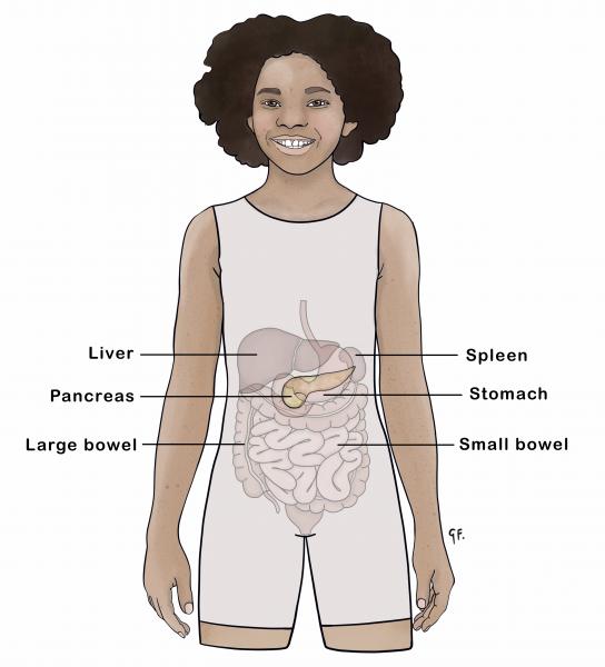 Image showing a child with placement of gastrointestinal organs