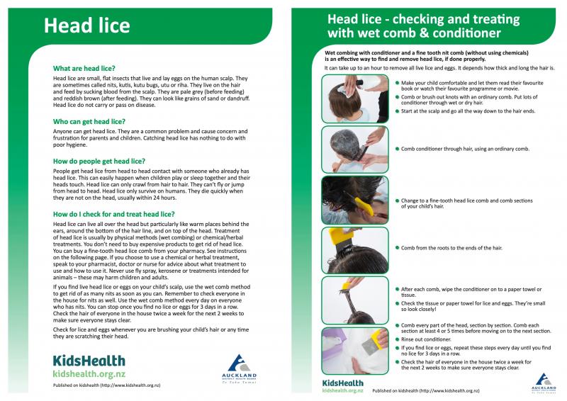 Thumbnail image of a handout on head lice