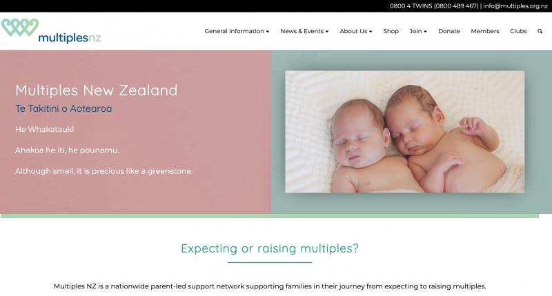 screenshot of multiples nz website 