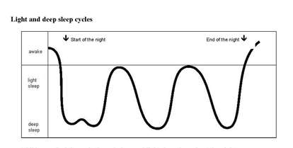 Diagram showing light and deep sleep cycles