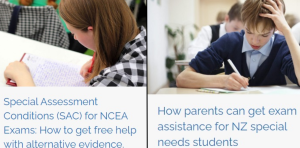 Image of Altogether Autism website education section for teenagers, showing two student studying and wordings of two sections.