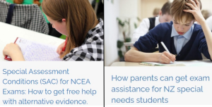 Image of Altogether Autism website education section for teenagers, showing two students studying and wordings of two sections.
