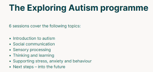 Image showing Exploring autism information on the Healthcare NZ website