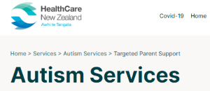 Image of the autism services section on the Healthcare NZ website