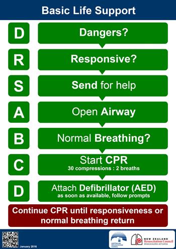 Graphic showing the basic life support steps