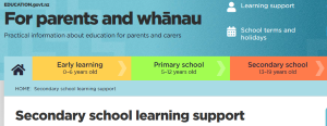 Image of information on secondary learning support on the Ministry of Education website