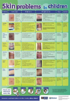 A thumbnail image of the skin problems poster