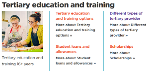 Image of Ministry of Education's website section on tertiary education and training