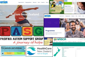 Images of screenshots of various websites supporting families of children with autism