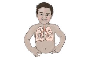 Image of child showing respiratory system 